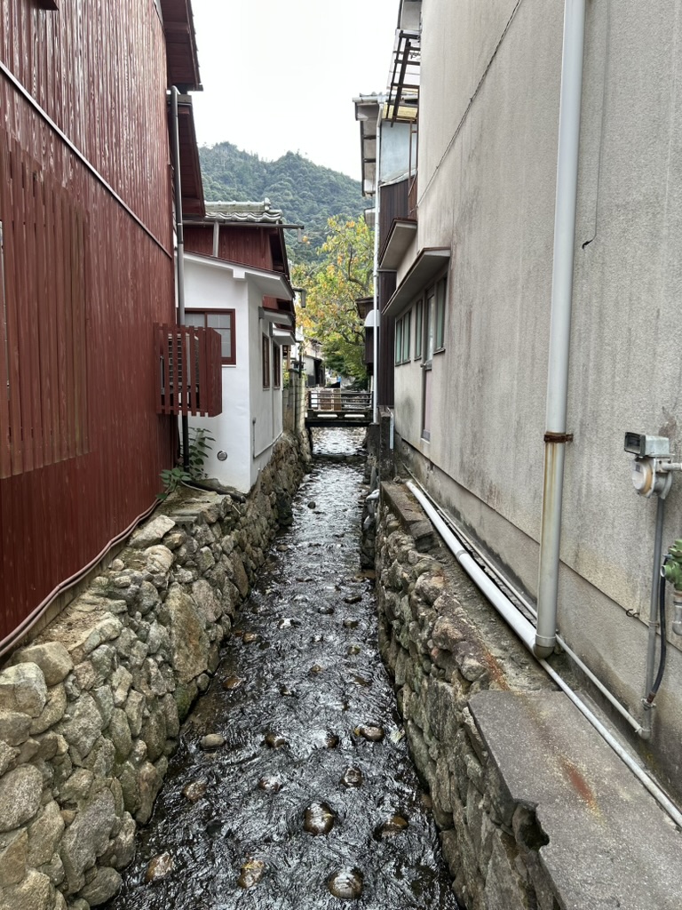 Daims sur l'île de Miyajima près du sanctuaire