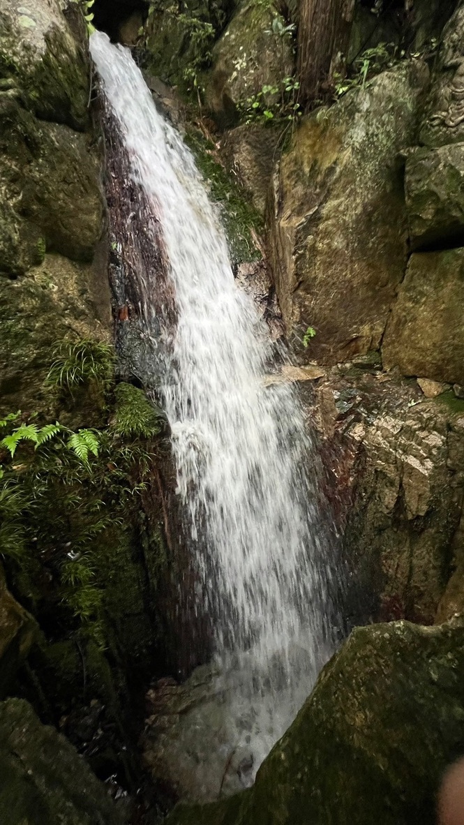 L'une des trois cascades de Mitaki-dera s'écoulant entre des roches sombres couvertes de mousse