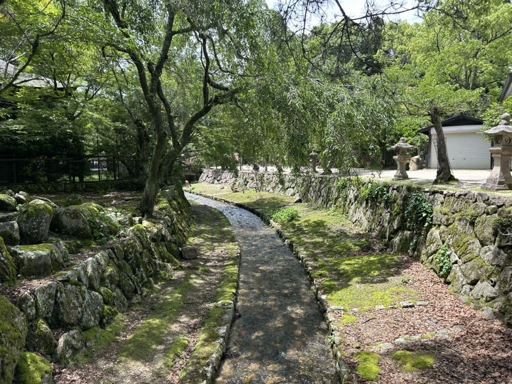 Un chemin forestier sur l'île de Miyajima, lumière tamisée à travers les arbres
