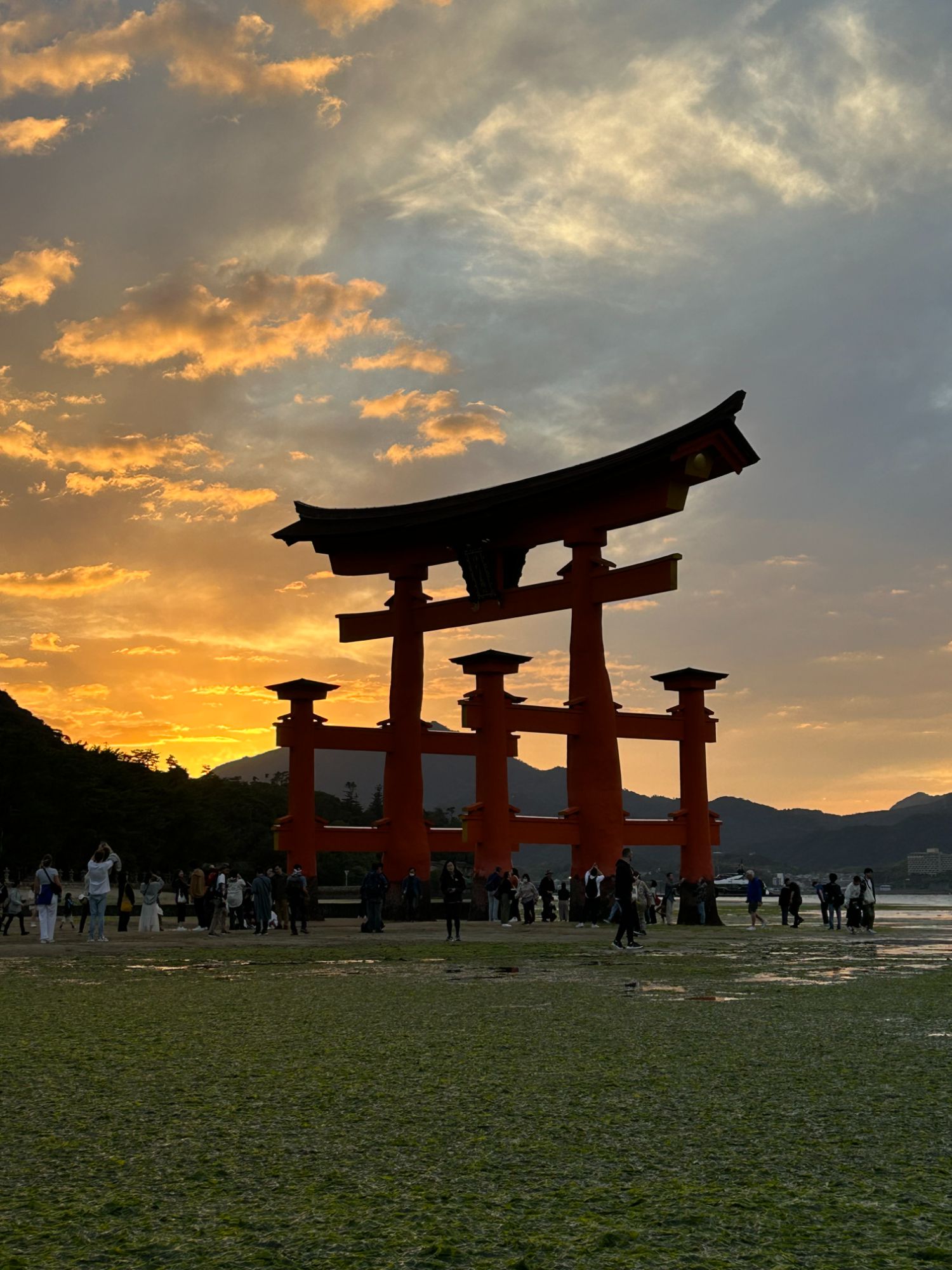 Le torii de Miyajima au coucher du soleil, brillant de couleur ambrée sur la mer